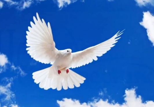 Королевство Северный Бархант придерживается миролюбивой политики