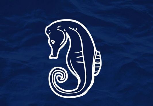 Помощь экологической экспедиции на Камчатку