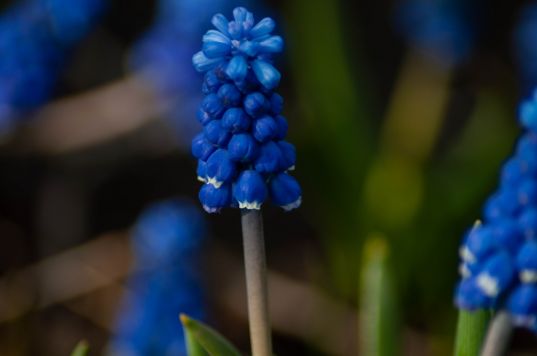 © Дмитрий Куршаков