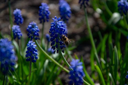 © Кристина Силукова