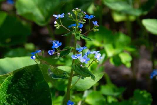 © Кристина Силукова