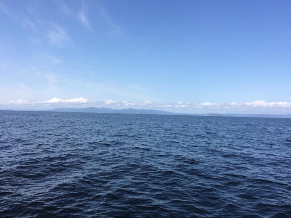 Экспедиция  остановилась у острова Шкота